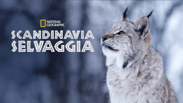 thumbnail - Scandinavia Selvaggia