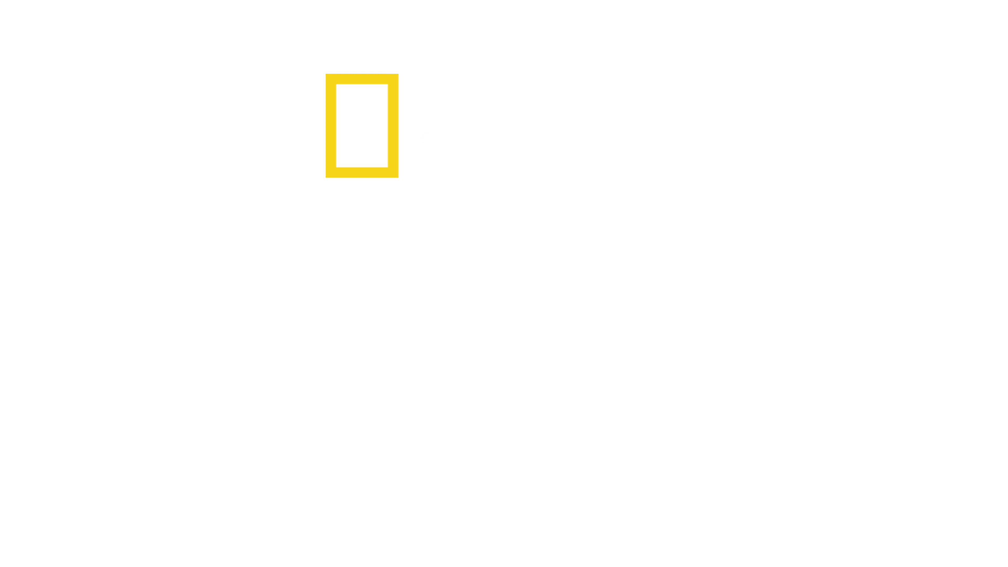 戰火歸途