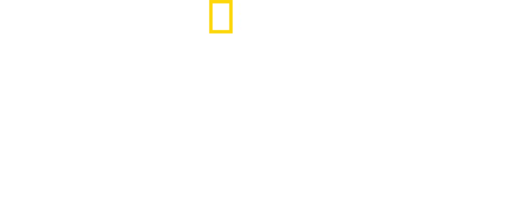 Salattu Pohjois-Korea