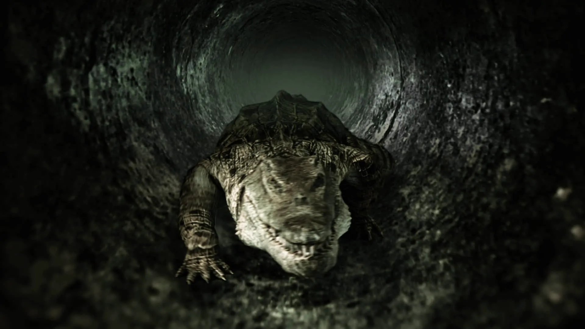 thumbnail - M1:Ep1 MonsterQuest: Gators in the City