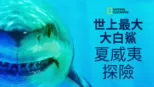 thumbnail - 世上最大大白鯊：夏威夷探險