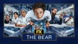 thumbnail - The Bear