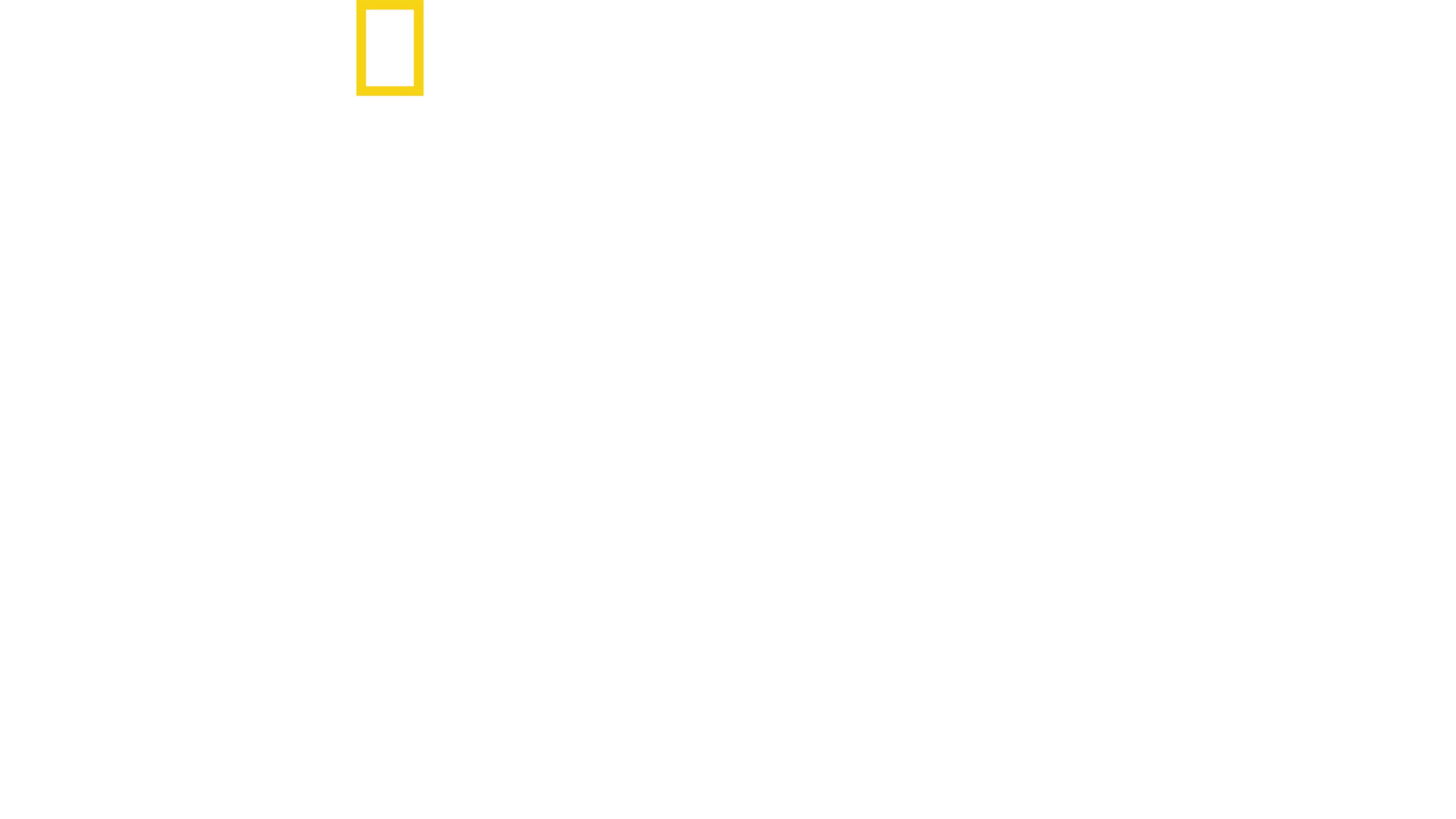 Köpekbalığı Balinaya Karşı