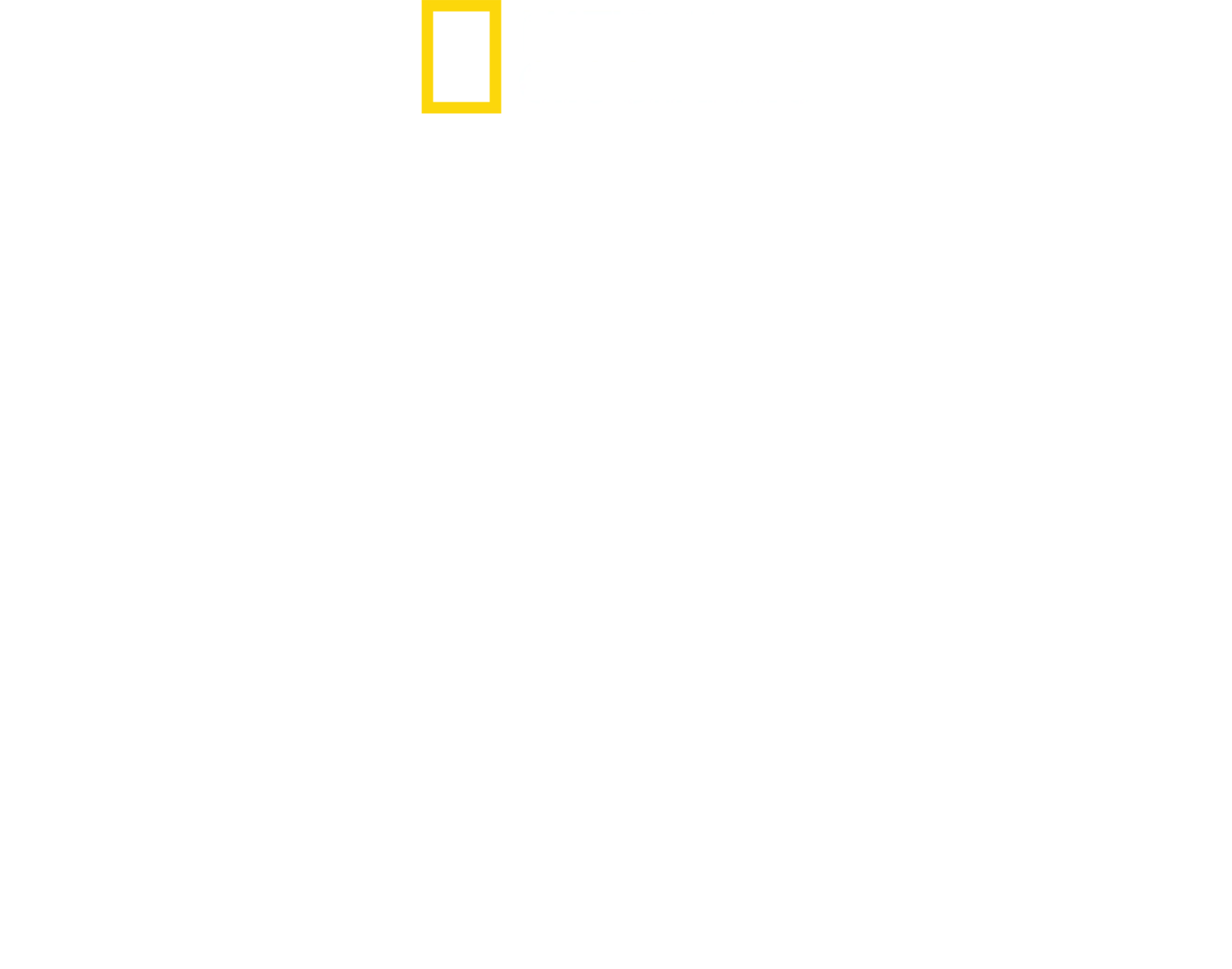 Köpekbalığı Balinaya Karşı