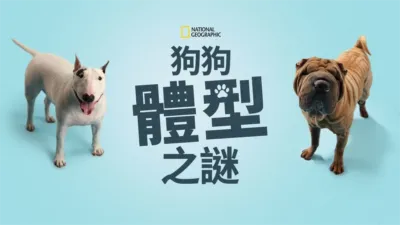 thumbnail - 狗狗體型之謎