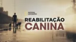 thumbnail - Reabilitação Canina