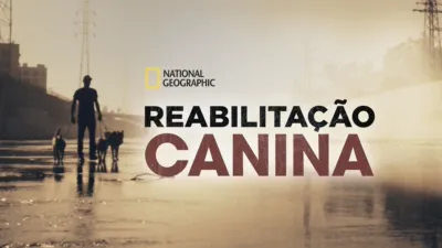 Reabilitação Canina