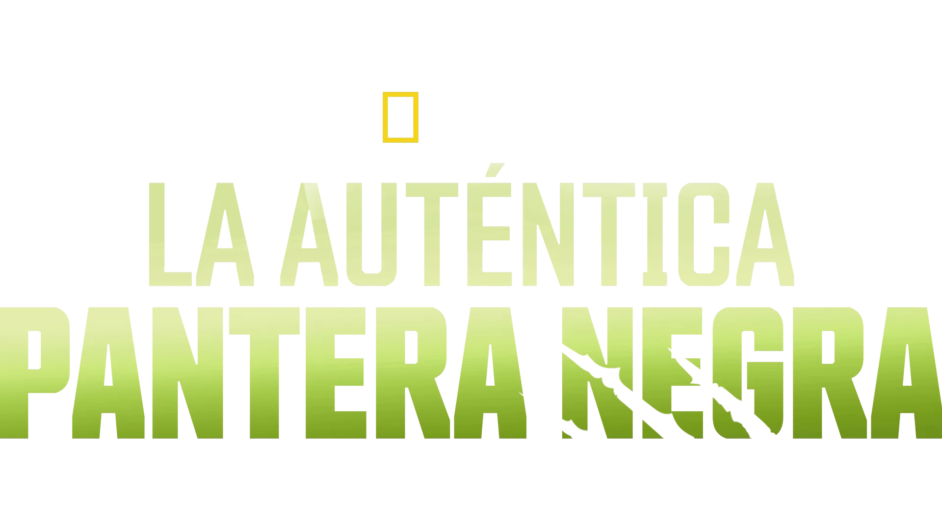 La auténtica pantera negra