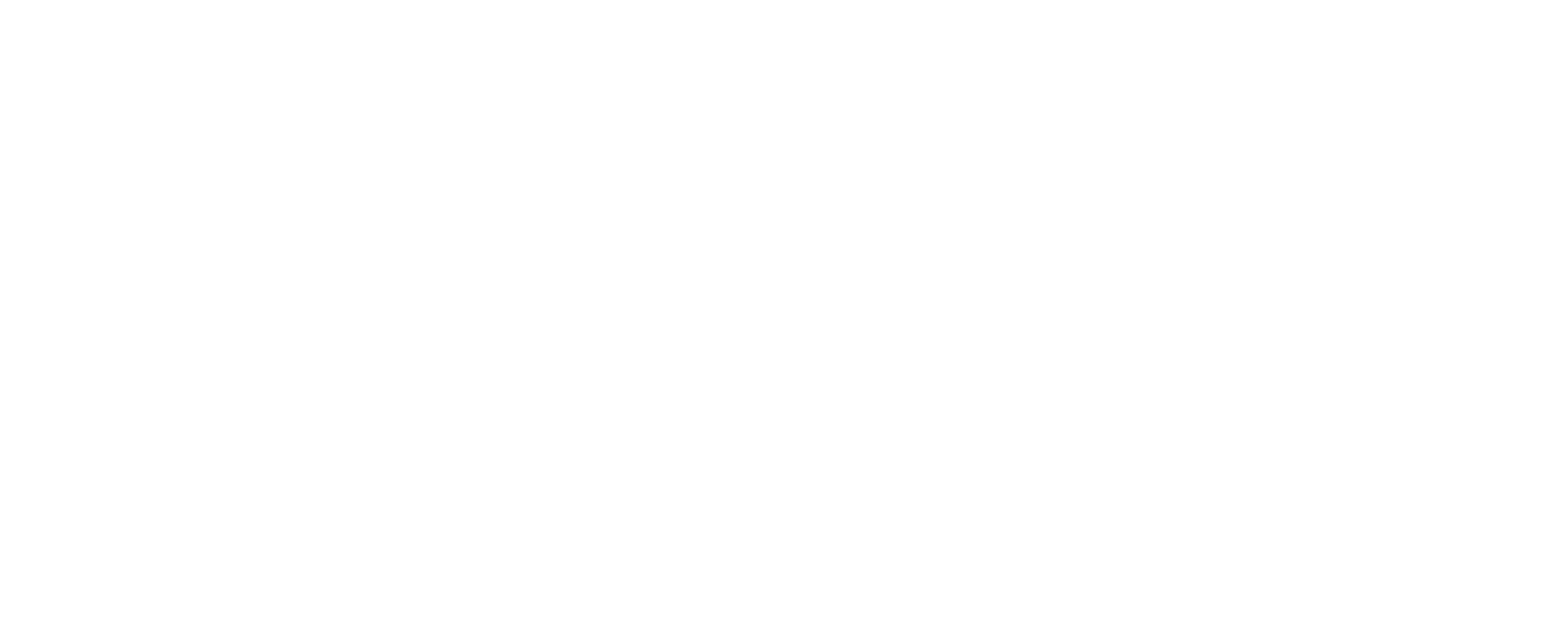 アメリア 永遠の翼