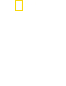 샤크 어택