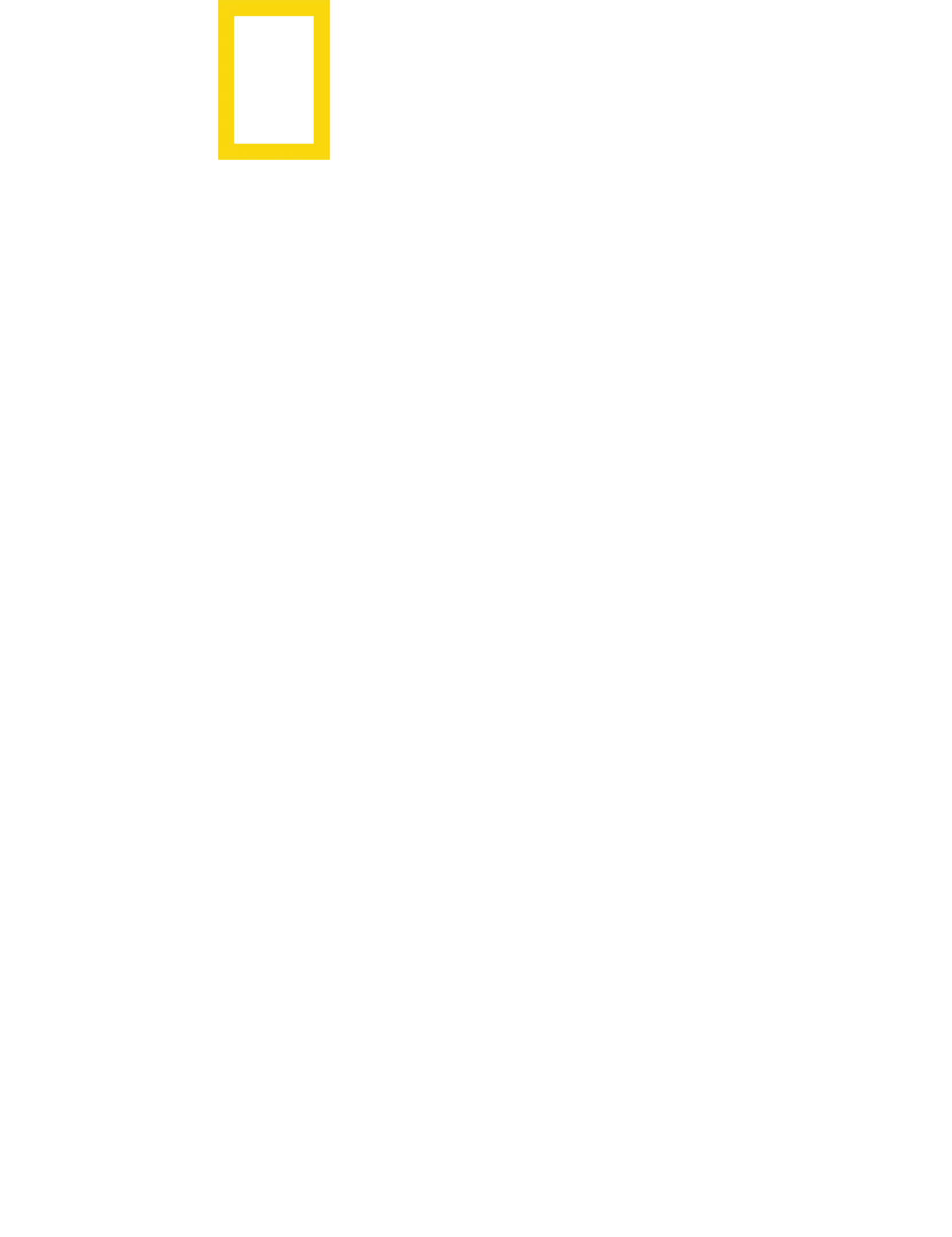 샤크 어택