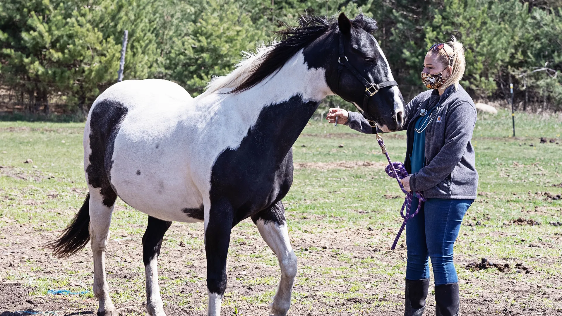 thumbnail - S20:E6 Neighs of Our Lives
