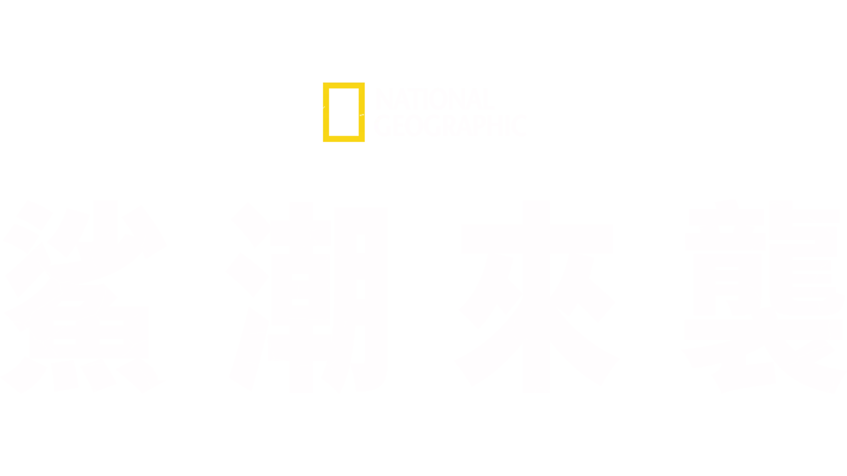 鯊潮來襲