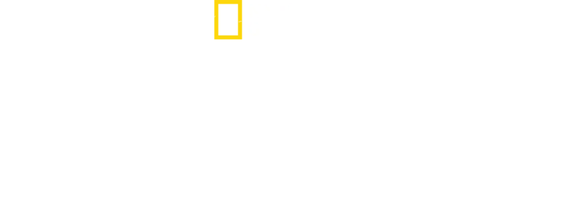 鯊潮來襲