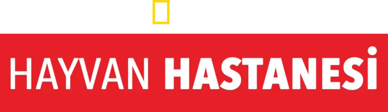 Hayvan Hastanesi