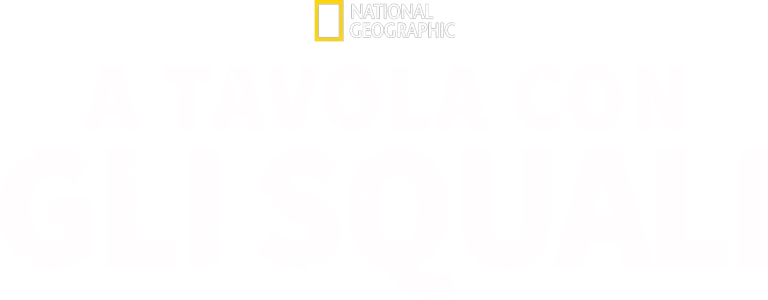 A tavola con gli squali