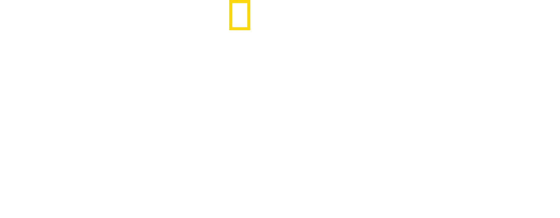 A tavola con gli squali