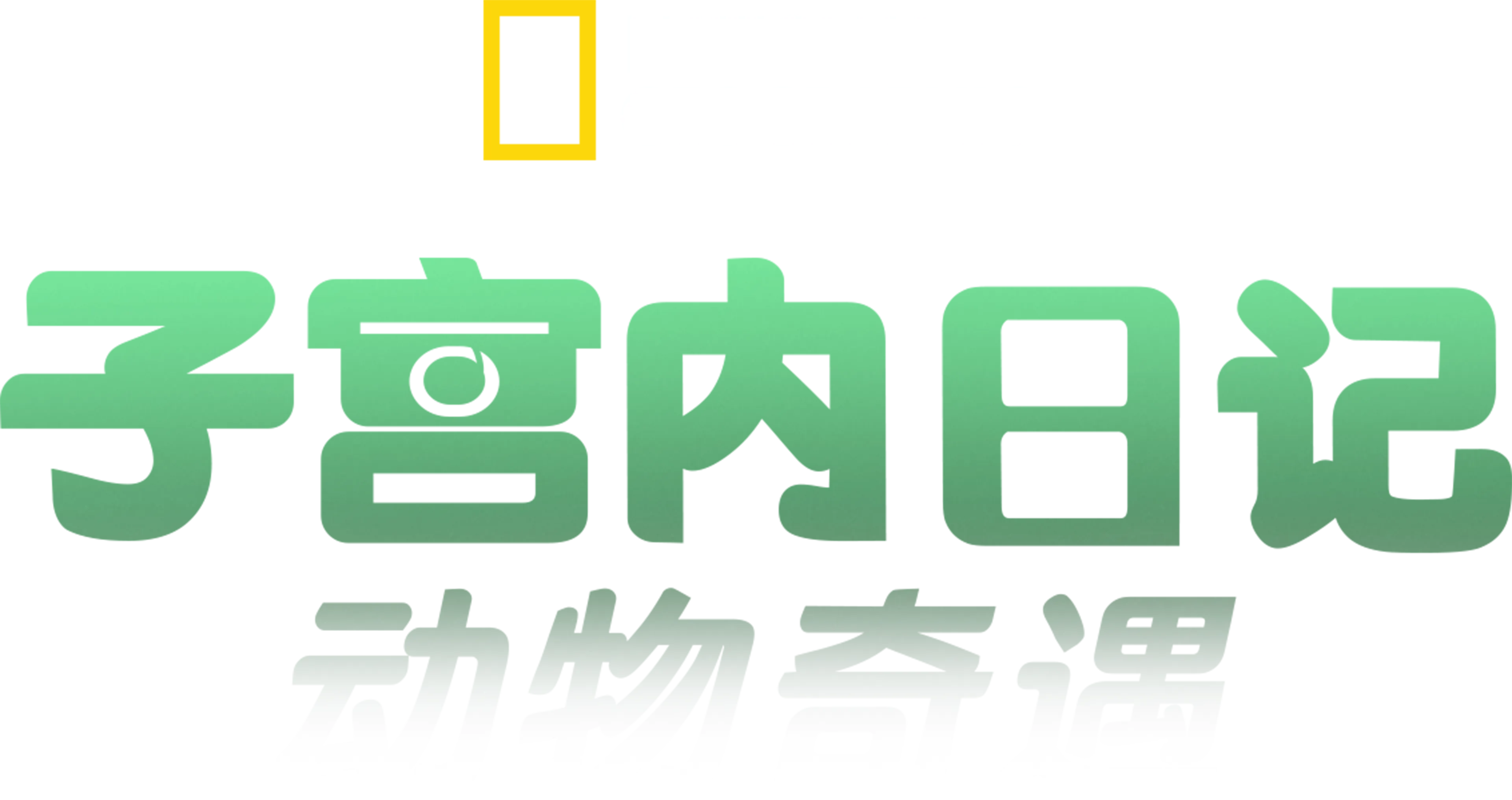 子宫内日记：动物奇遇