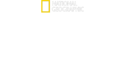 Les cités perdues d'Albert Lin