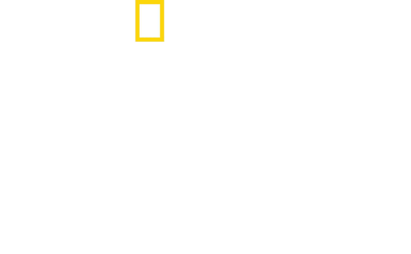 Les cités perdues d'Albert Lin