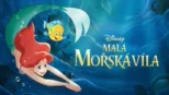 thumbnail - Malá mořská víla