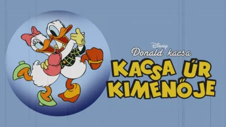 thumbnail - Kacsa úr kimenője