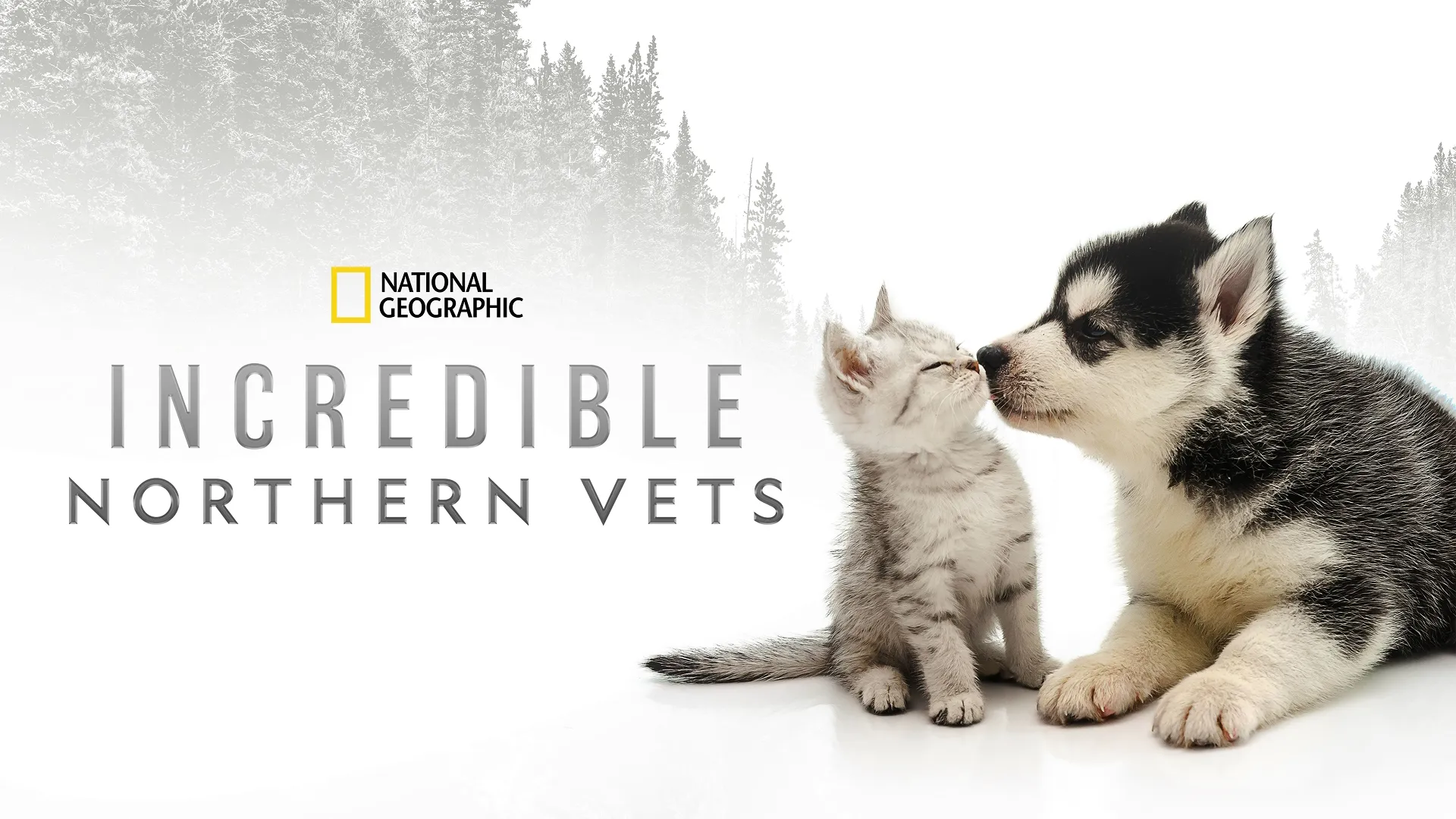 Promotional hero image for the National Geographic documentary, Incredible Northern Vets