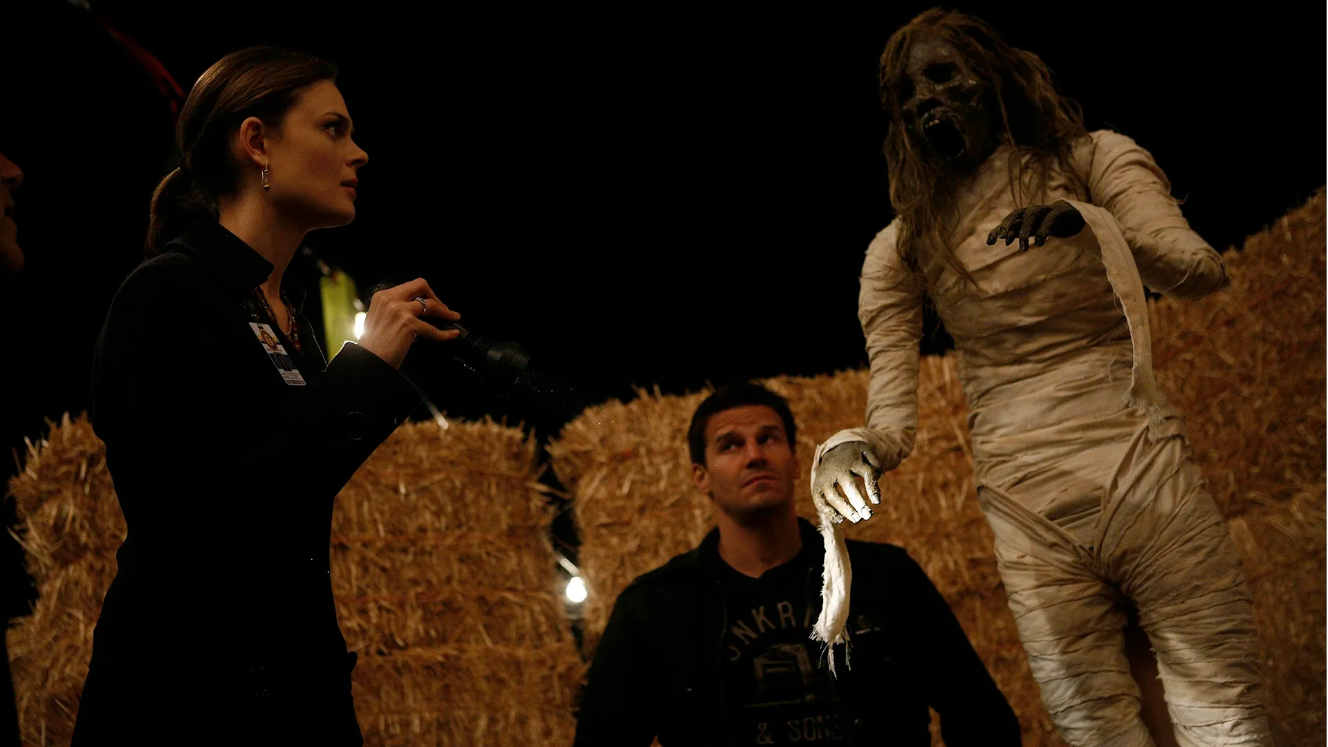 Dr. Temperance (Emily Deschanel) in Bones