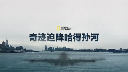 thumbnail - 奇迹迫降哈得孙河