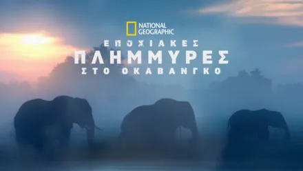 thumbnail - Εποχιακές Πλημμύρες στο Οκαβάνγκο