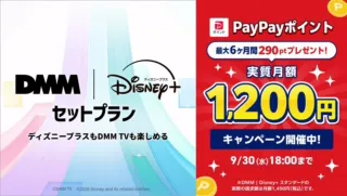 DMM Disney plus
