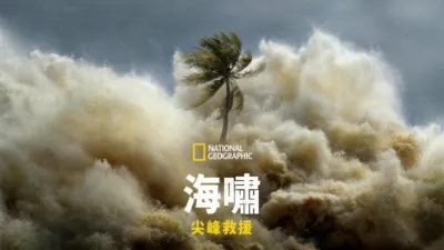 海嘯：尖峰救援