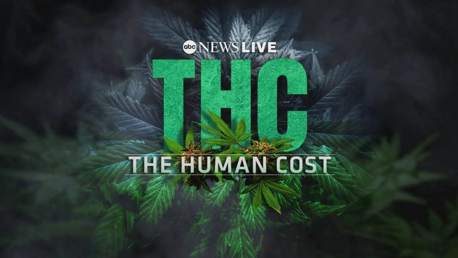 thumbnail - THC: The Human Cost