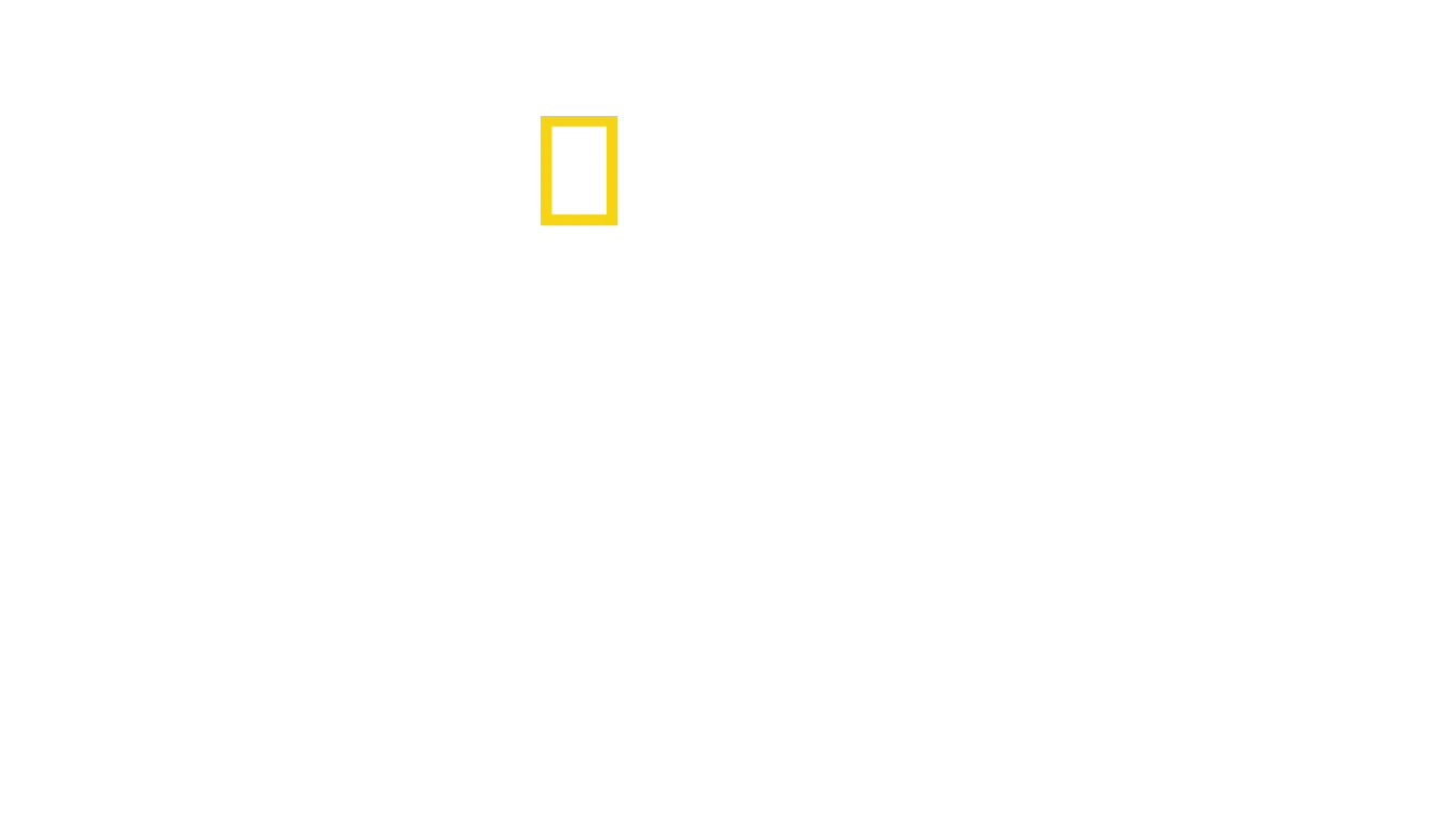I guardiani d'Egitto