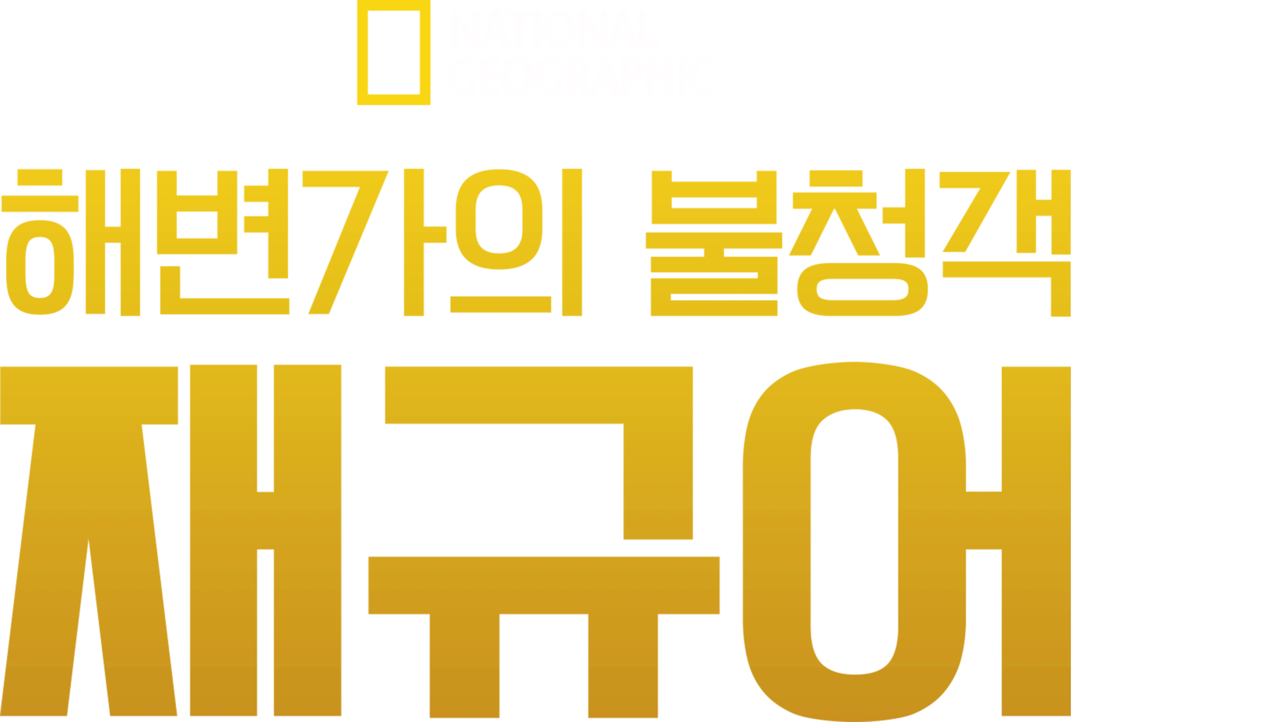 해변가의 불청객, 재규어