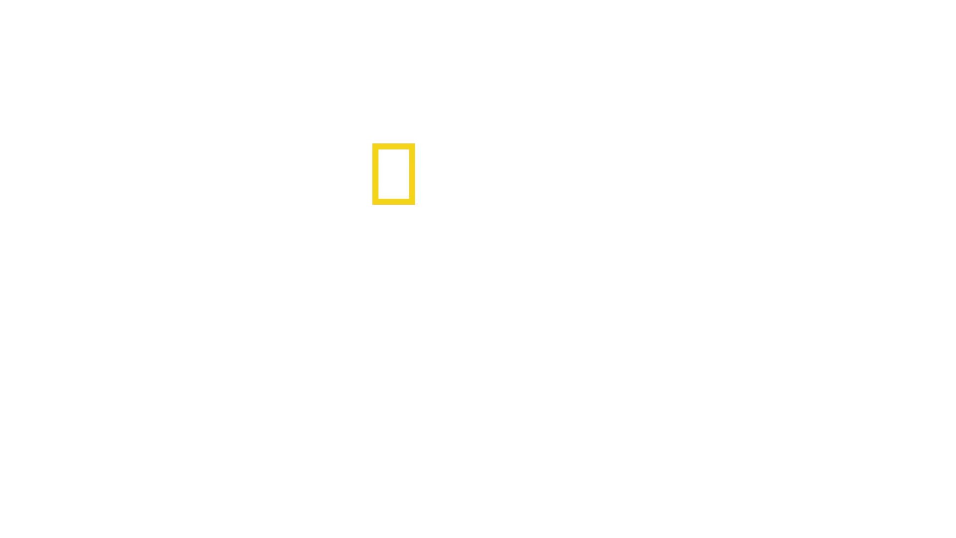 Kuchári bez hraníc