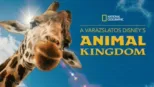 thumbnail - A varázslatos Disney's Animal Kingdom