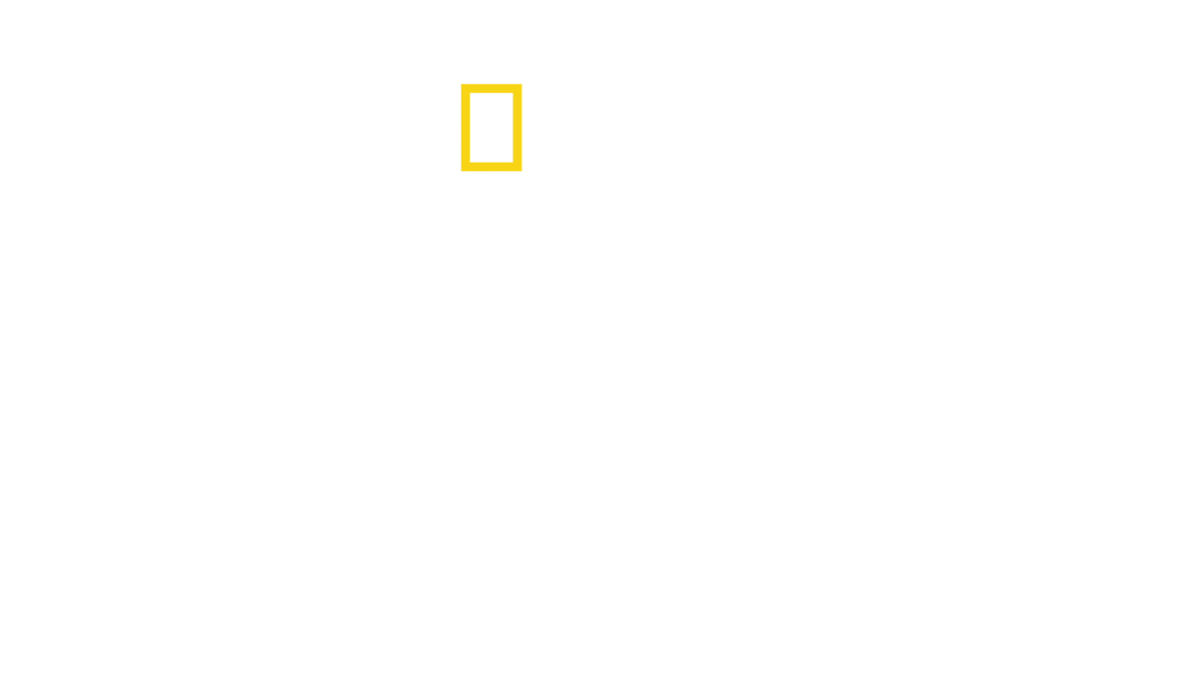 Άγριο Yellowstone