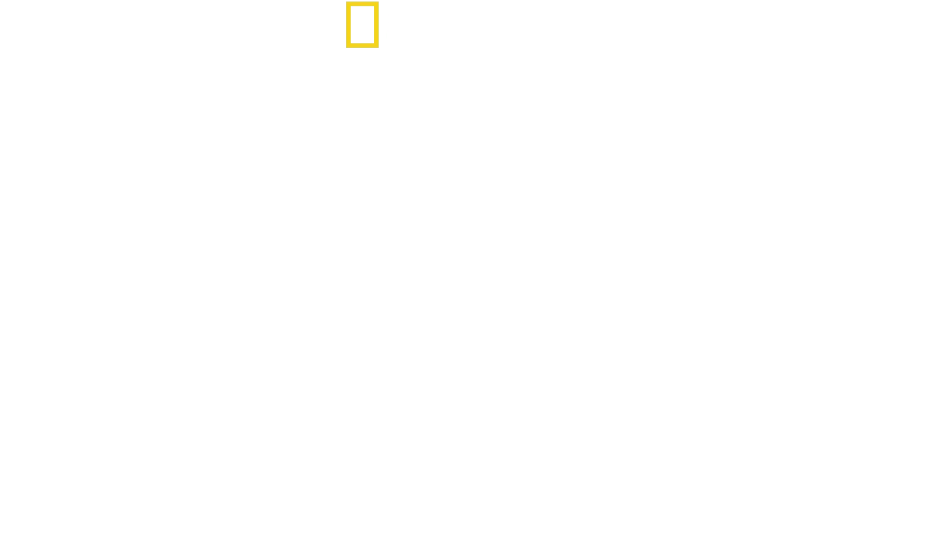 Magic of Disney’s Animal Kingdom　ディズニー・アニマルキングダムの魔法