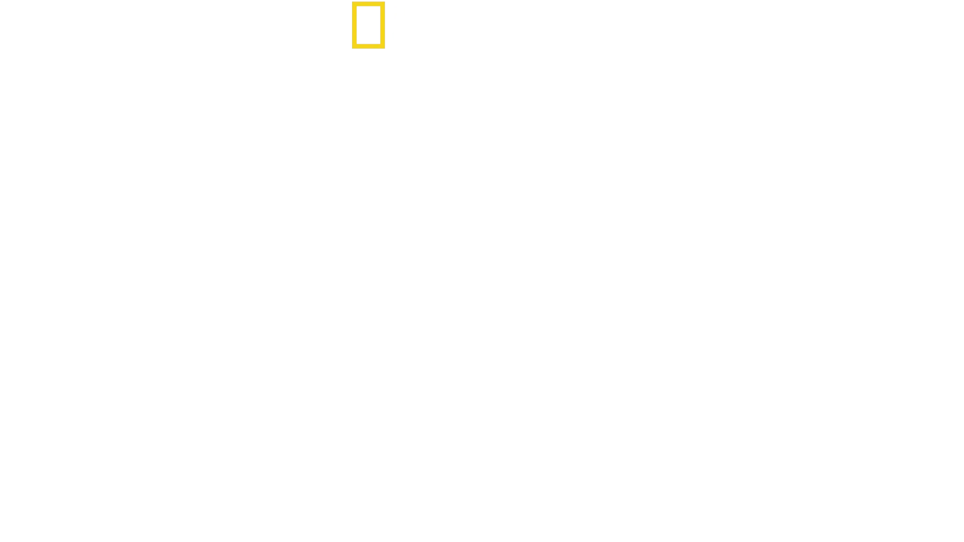Magic of Disney’s Animal Kingdom　ディズニー・アニマルキングダムの魔法