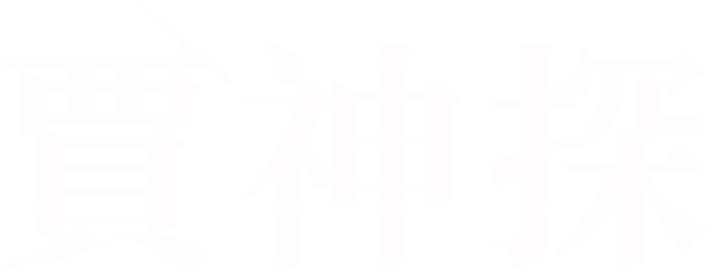 賈神探