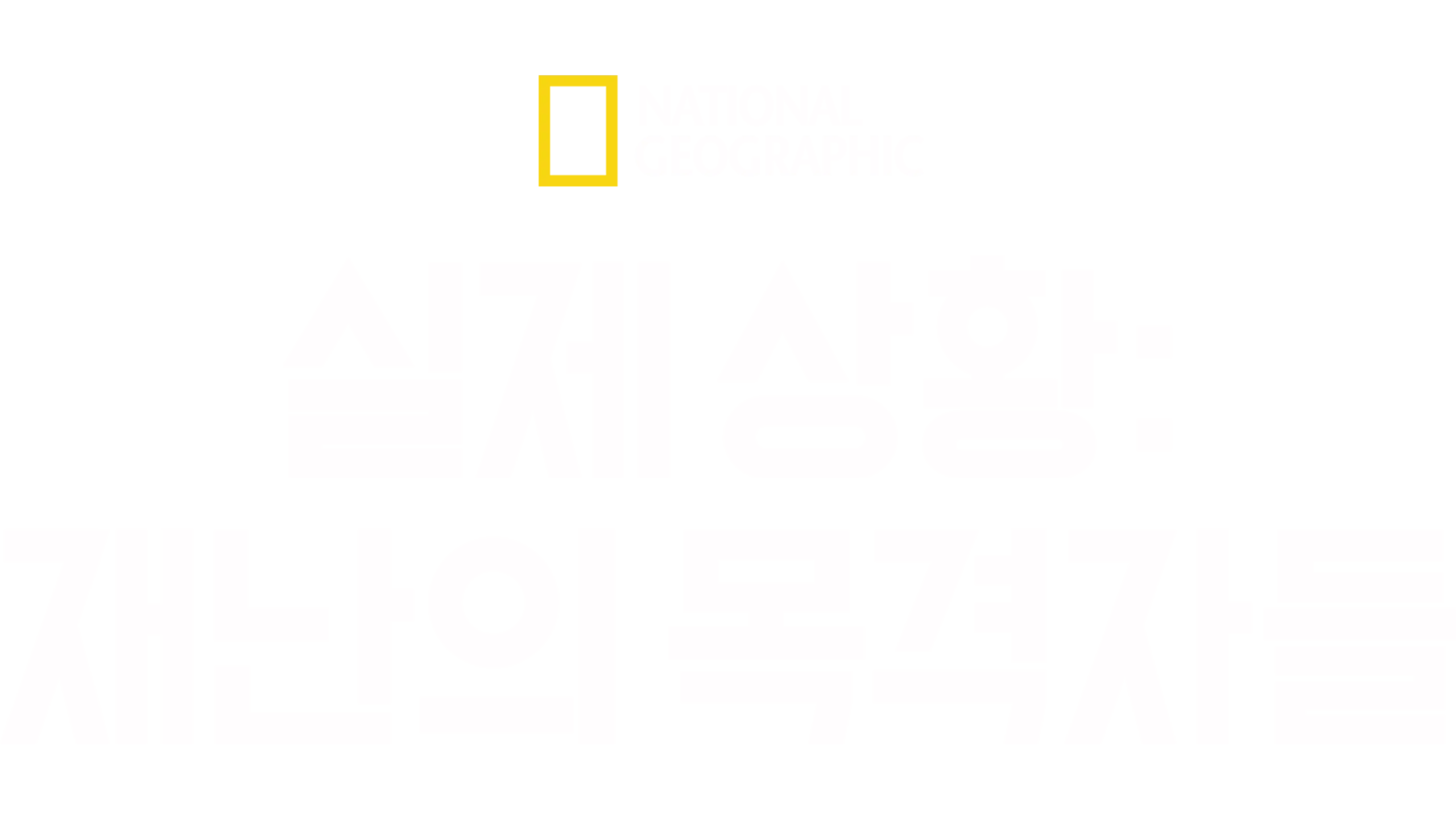 실제 상황: 전쟁
