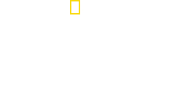 실제 상황: 전쟁