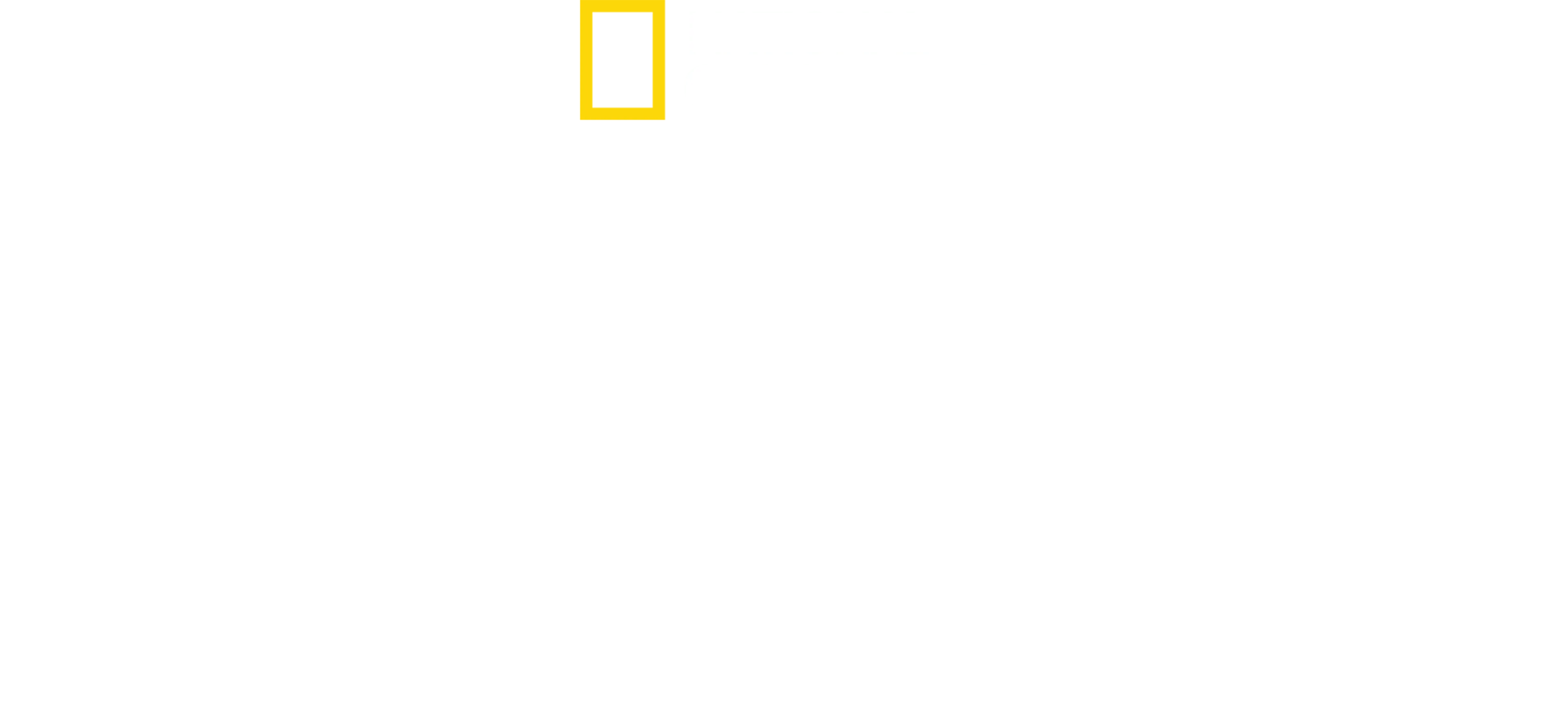 실제 상황: 전쟁