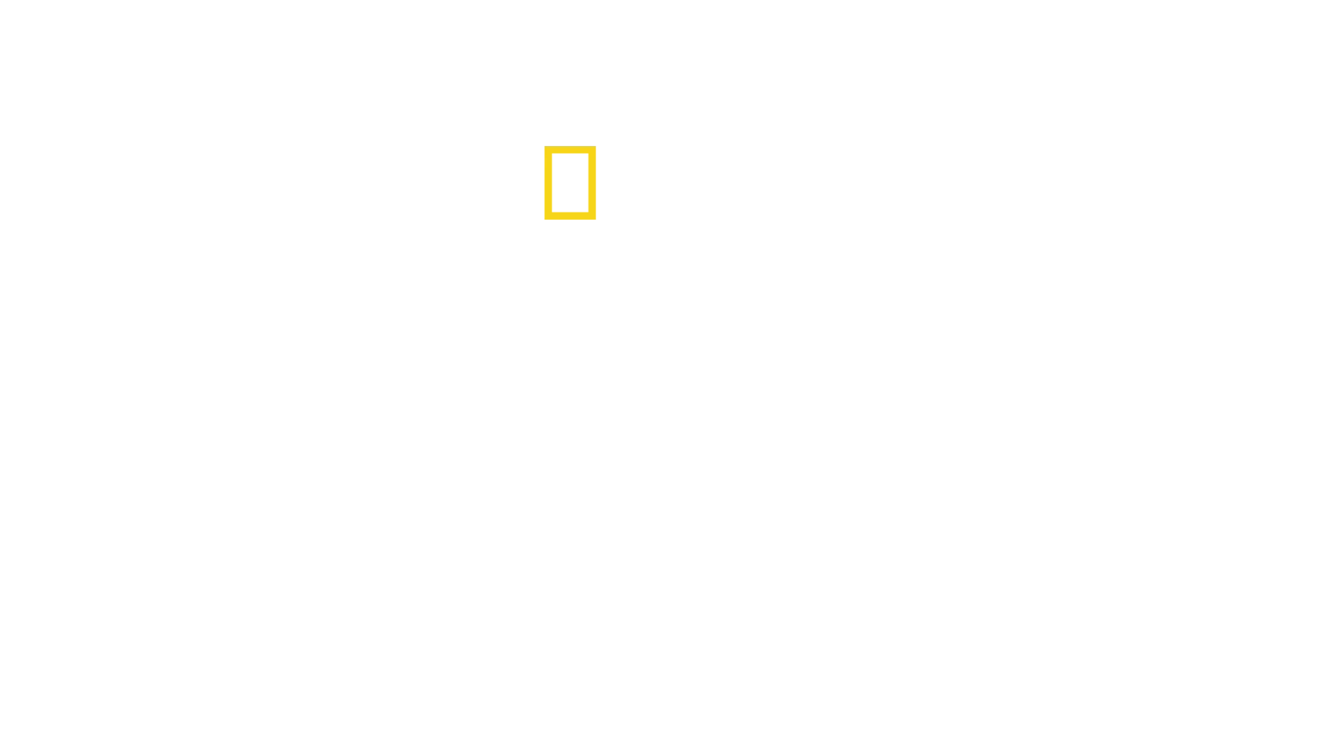 Lo sguardo dei trafficanti