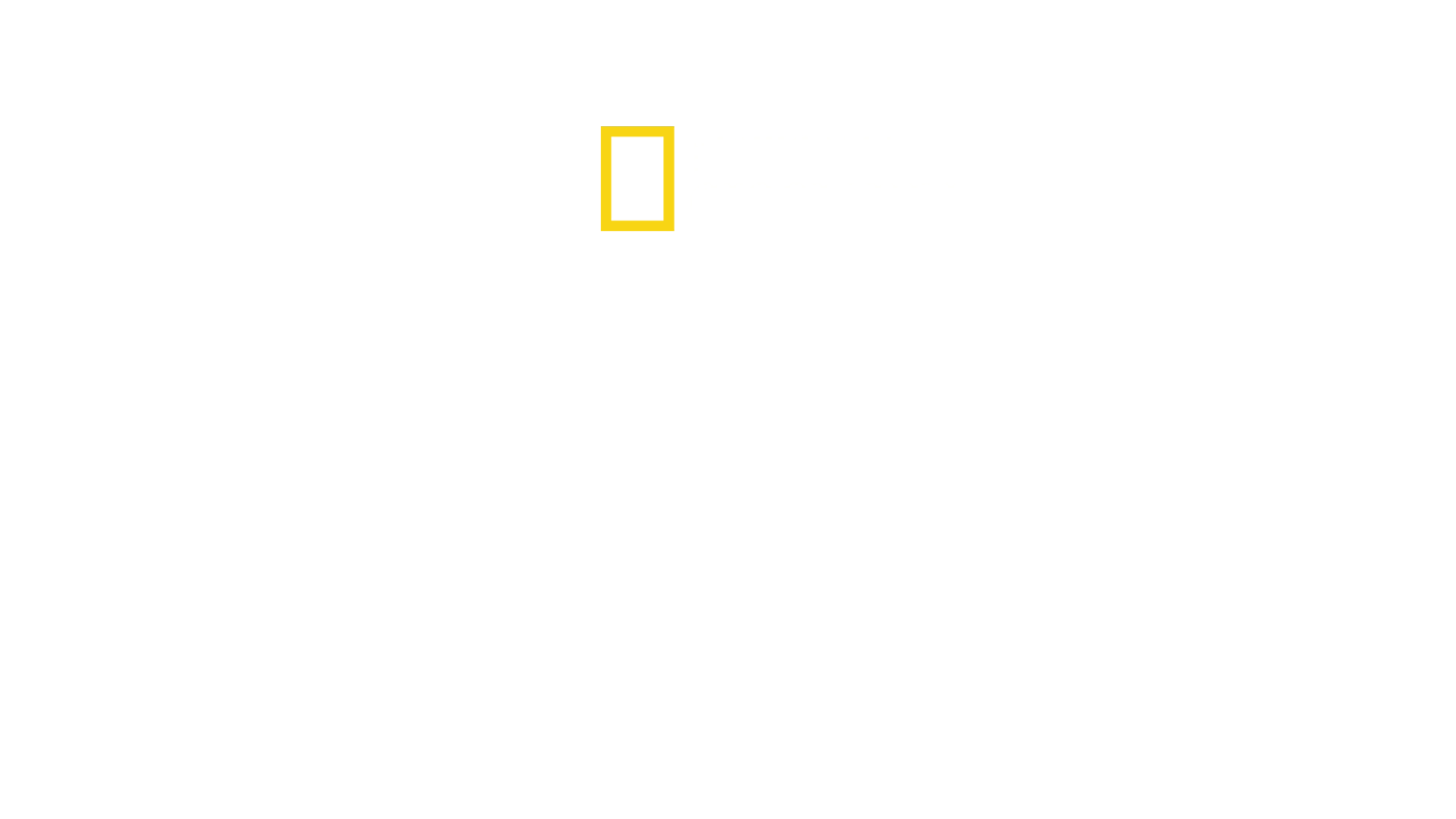 野獸王國