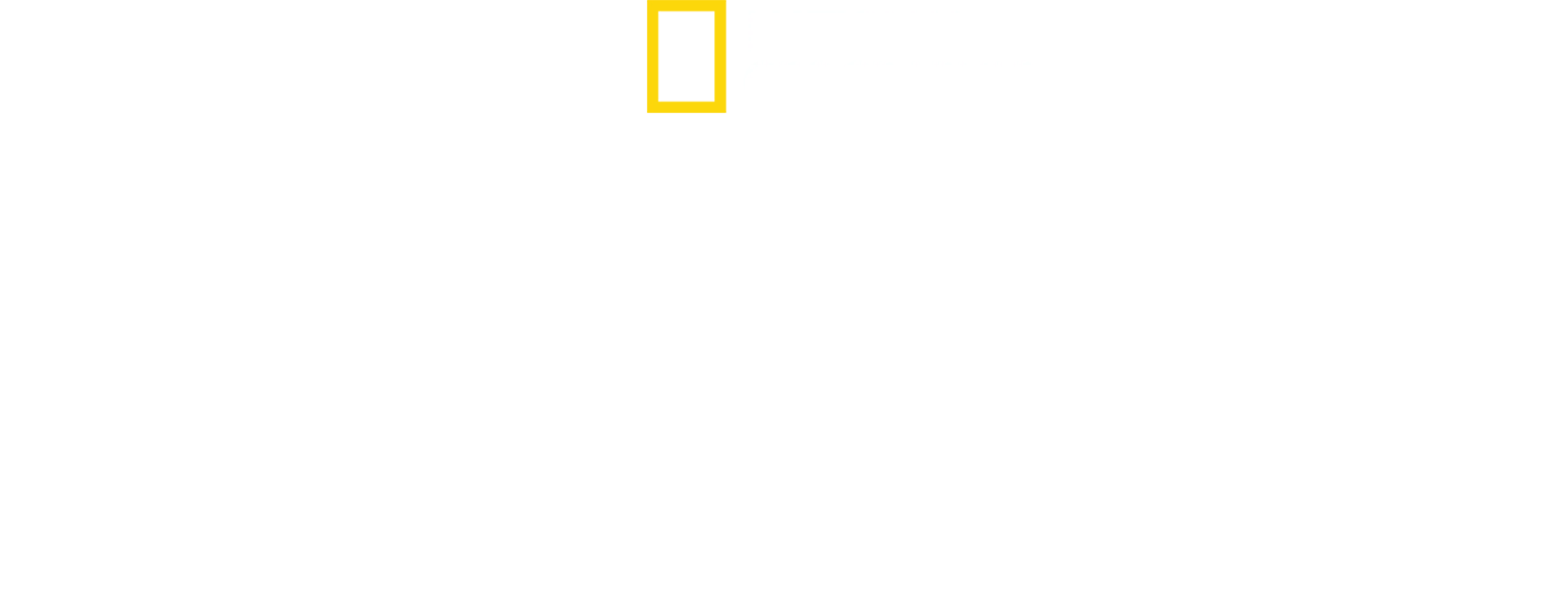 野獸王國