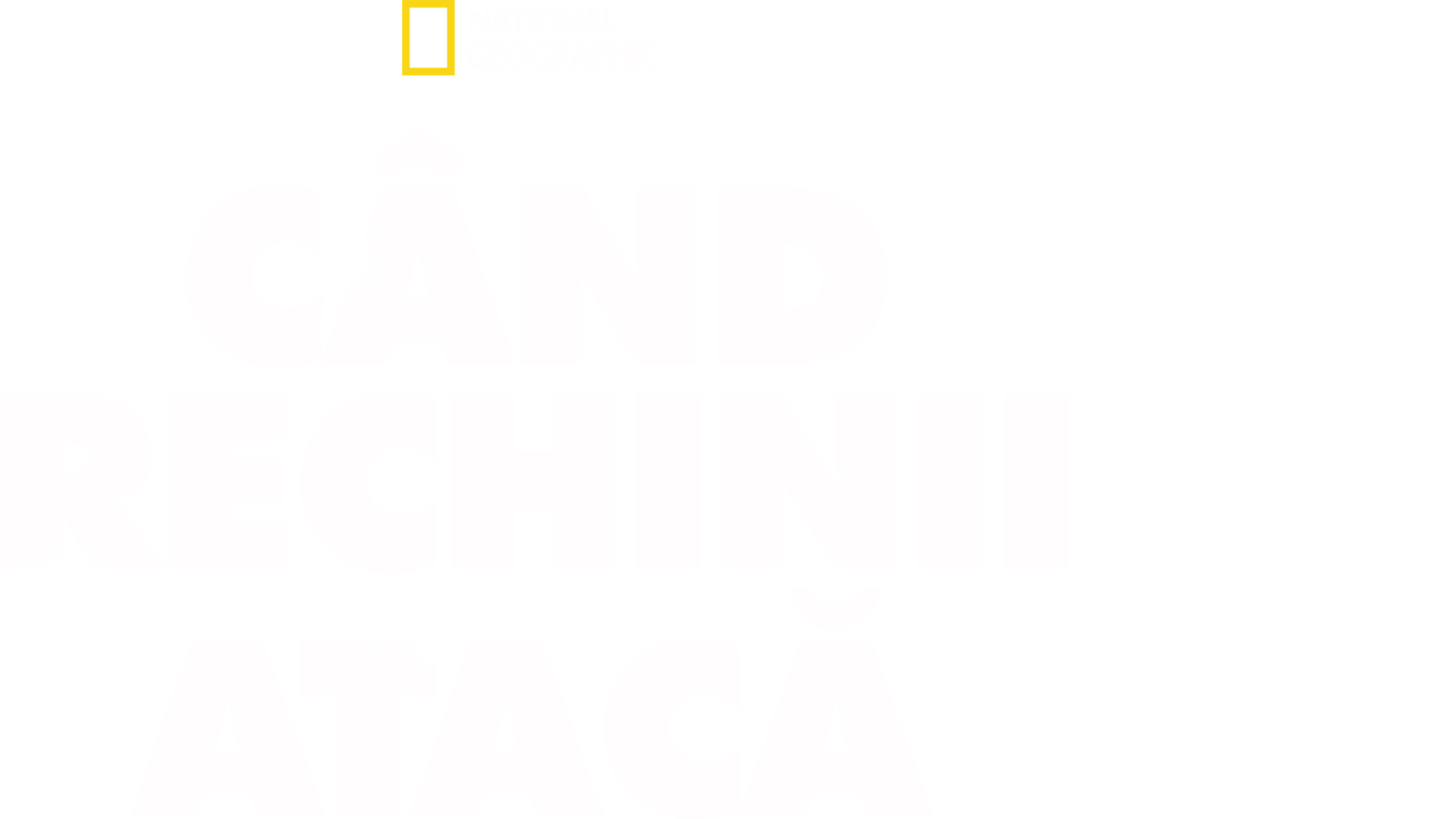 Când rechinii atacă
