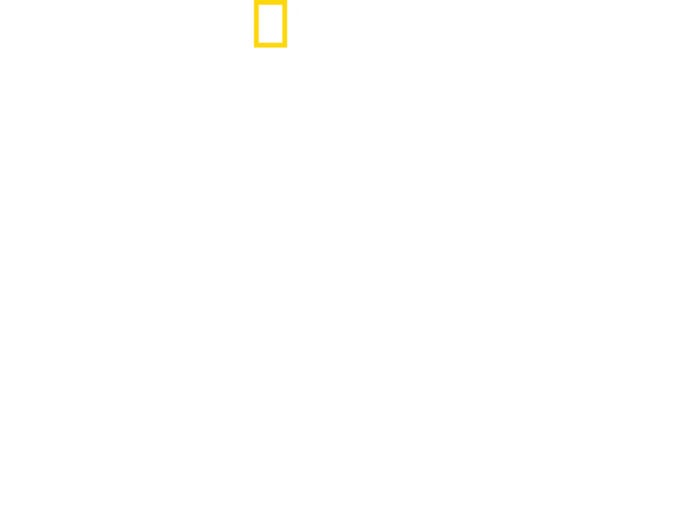 Când rechinii atacă
