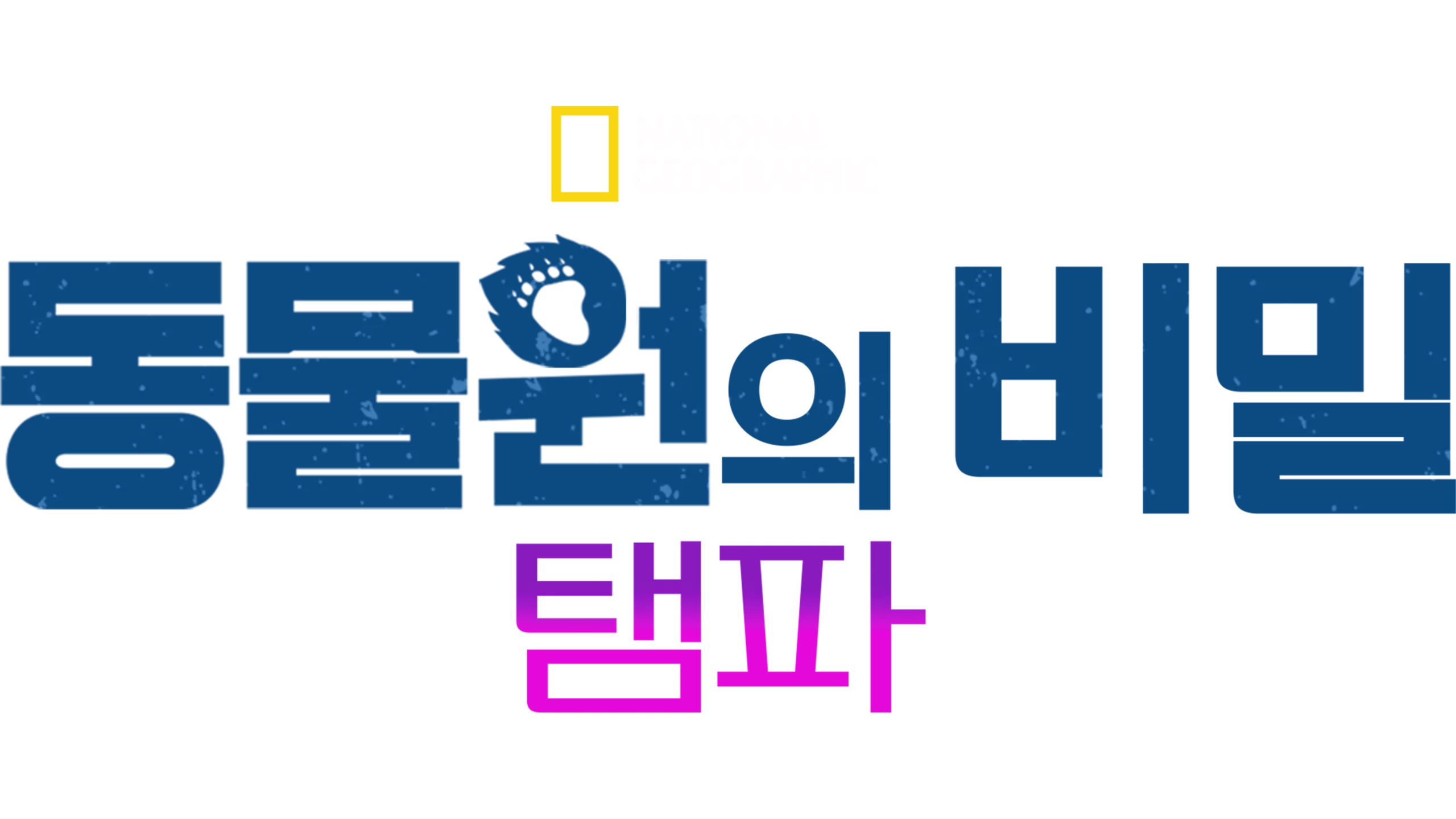 동물원의 비밀: 탬파